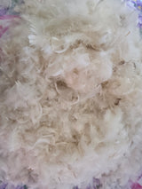 RAW NEW GOOSE FEATHERS AND DOWN (25-28% down)