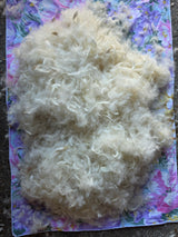 RAW GOOSE FEATHERS AND DOWN (23-25% down)
