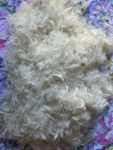 RAW GOOSE FEATHERS AND DOWN (23-25% down)