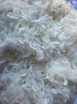 RAW GOOSE FEATHERS AND DOWN (23-25% down)