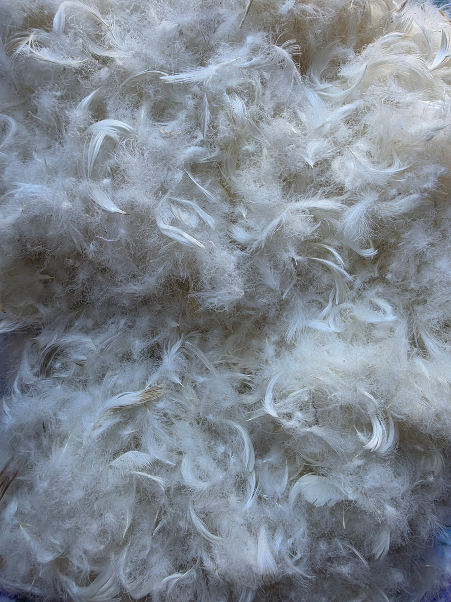 RAW GOOSE FEATHERS AND DOWN (23-25% down)